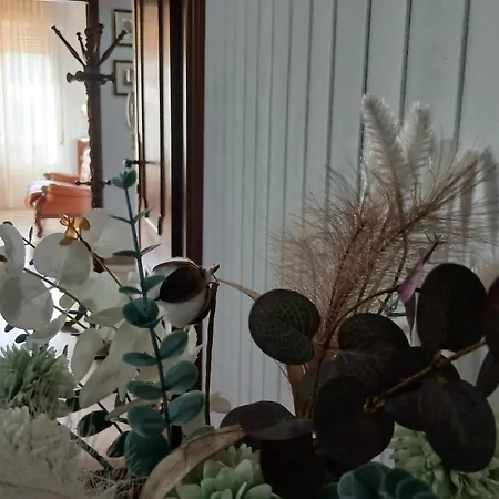 Apartament Marhel