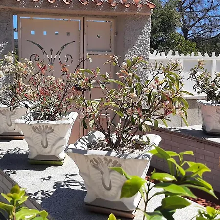 Marhel أرباتاكْسْ